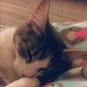 Meet your Posher, Jami